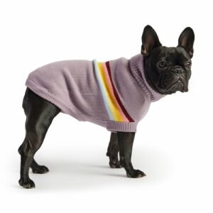 Dog Turtleneck Sweater