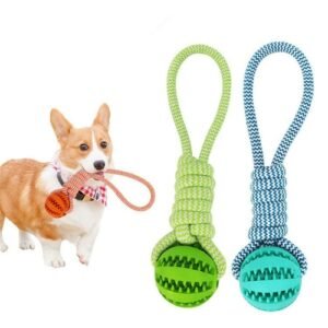 rubber ball chew toy for dogs